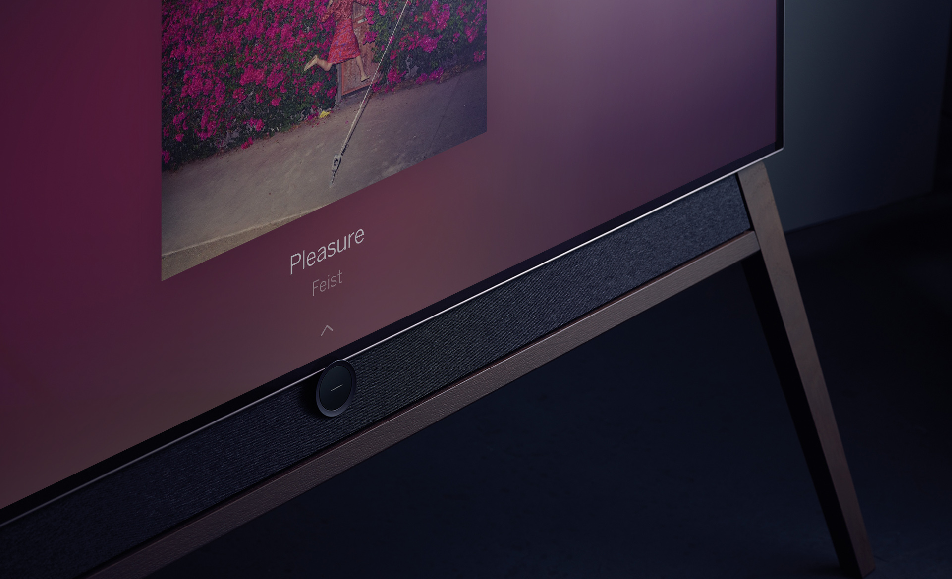 thumbnail_loewe_bild5